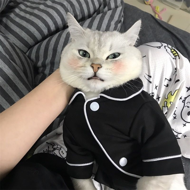 Bộ đồ ngủ pijama xinh xắn mặc mùa hè cho thú cưng
