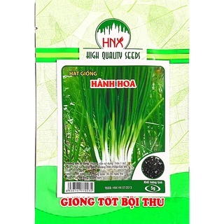Hạt giống hành lá -Hành hoa trồng quanh năm nhanh thu hoạch