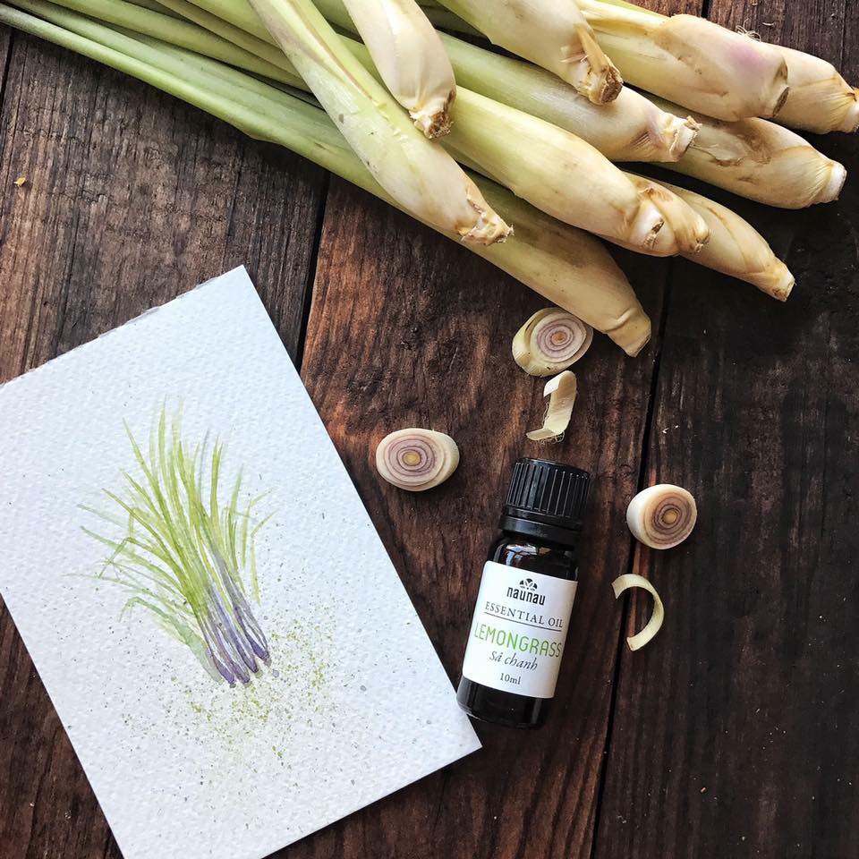 TINH DẦU SẢ CHANH 10ML