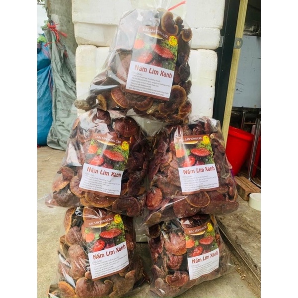 ⚡️SALE⚡️500g Nấm Lim xanh rừng Tây Bắc chuẩn rừng tự nhiên hỗ trợ bênh gout