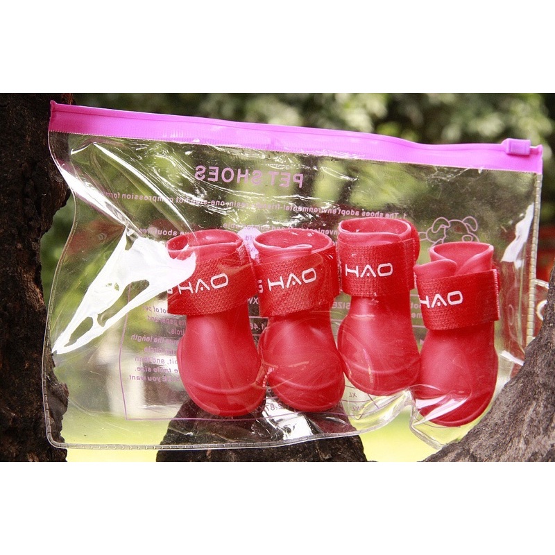 Giày chống nước chó mèo
