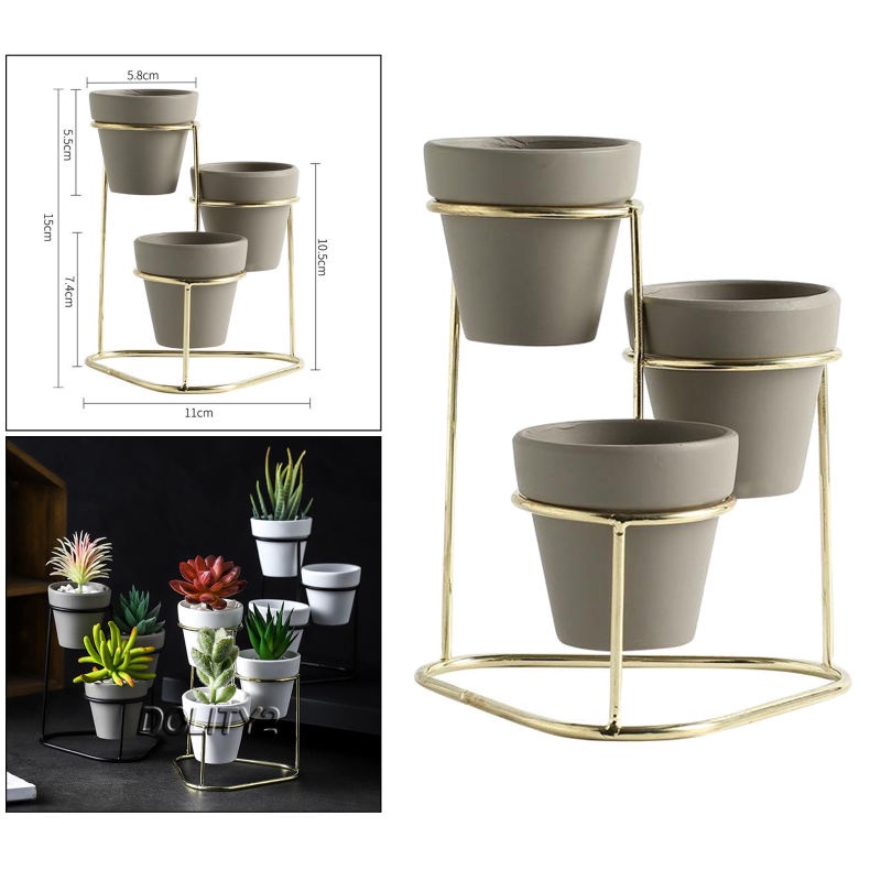 Bộ Sưu Tập Chậu Cây Mọng Nước 3 Trong 1 [Dolity2] Với Giá Đỡ Kim Loại Màu Vàng Kim