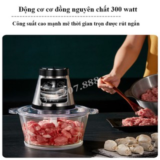 Máy xay thịt, Máy xay thịt đa năng Thuỷ Tinh