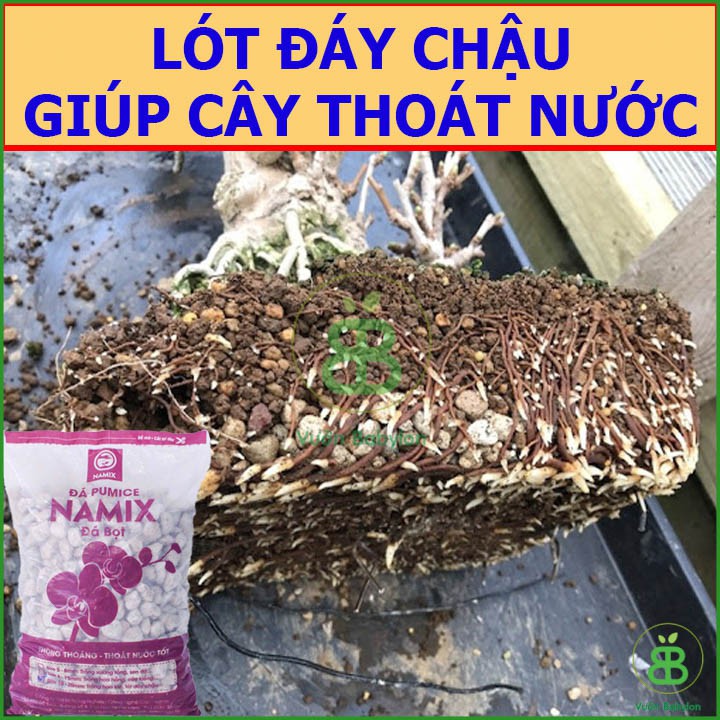 Đá Bọt Pumice - Cực Phẩm Cho Lan, Hoa Hồng, Cây Cảnh 10-20mm