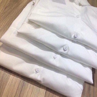 Sơ mi trắng công sở