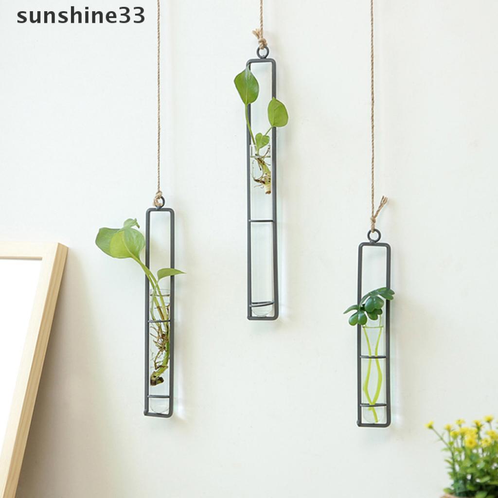 Bình Hoa Thủy Tinh Trong Suốt Treo Tường Bằng Sắt