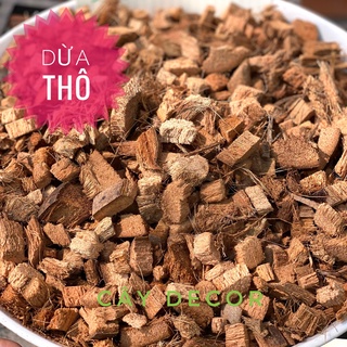 Dừa cục xịn, đã lọc xơ, dừa già chất lượng, bao đầy rất lợi (1kg và 2kg)