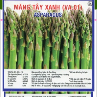 Hạt Giống Măng Tây Xanh