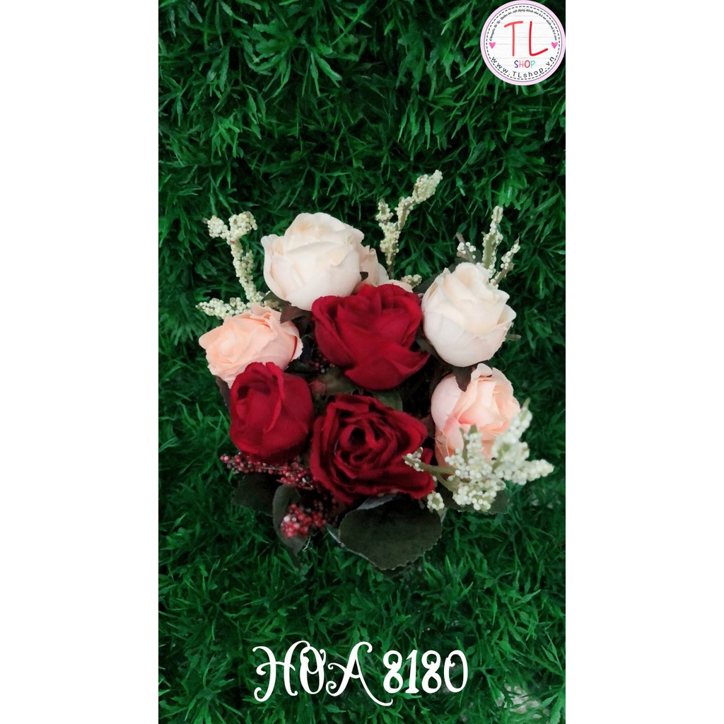 Chậu bông hồng đỏ xinh xắn