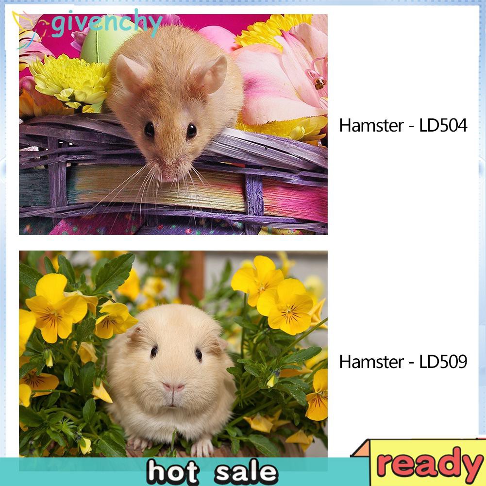 Bộ Tranh Đính Đá Tự Làm Kèm Phụ Kiện Hình Chú Chuột Hamster Đáng Yêu