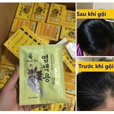 Dầu gội đen tóc nhân sâm Ginseng Instant Dyeing Hàn Quốc 30ml x 2