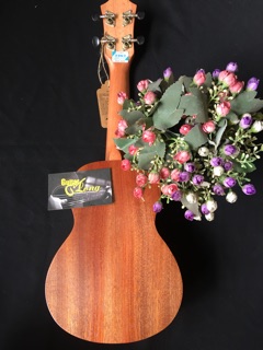 Đàn Ukulele Soprano MHĐ CC-550 CB2