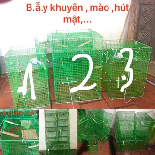 Bẫy Chim khuyên Tự Động
