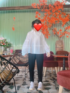 ÁO SƠMI TRẮNG TAY BÈO [ ẢNH THẬT ]