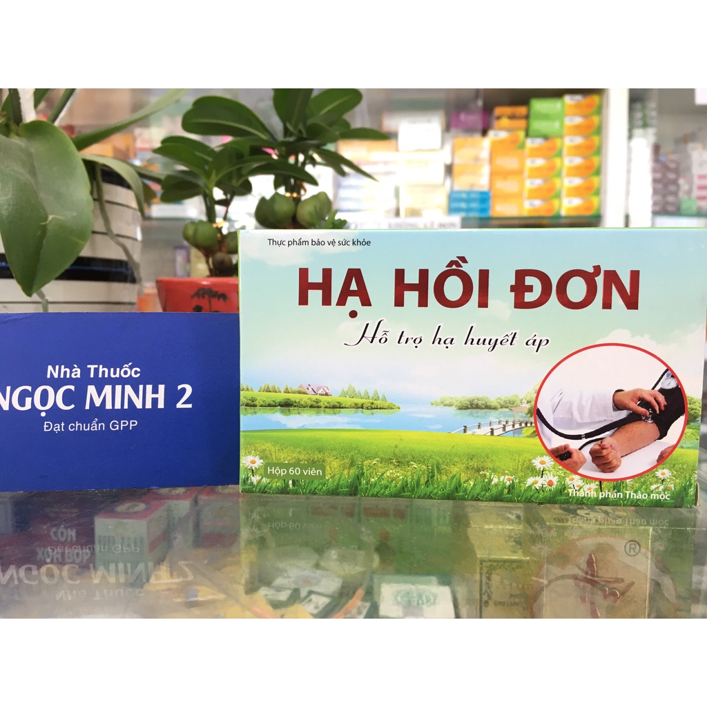 ✅ [Chính Hãng] Hạ Hồi Đơn – Giúp cải thiện tuần hoàn, hạ và ổn định huyết áp, đặc biệt dành cho người cao huyết áp