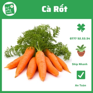 Hạt Giống Cà Rốt(5g) Nảy Mầm Cực Chuẩn