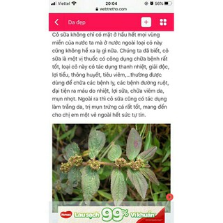 cỏ  sữa  lá lớn(1kg)