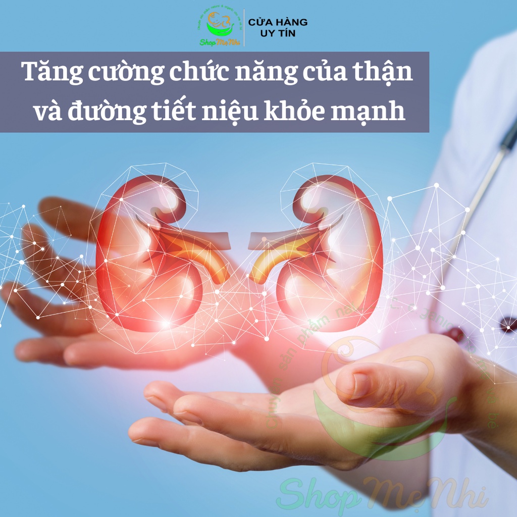 Viên uống hỗ trợ thận, bàng quang Nature’s Way Kidney Bladder 100 viên.