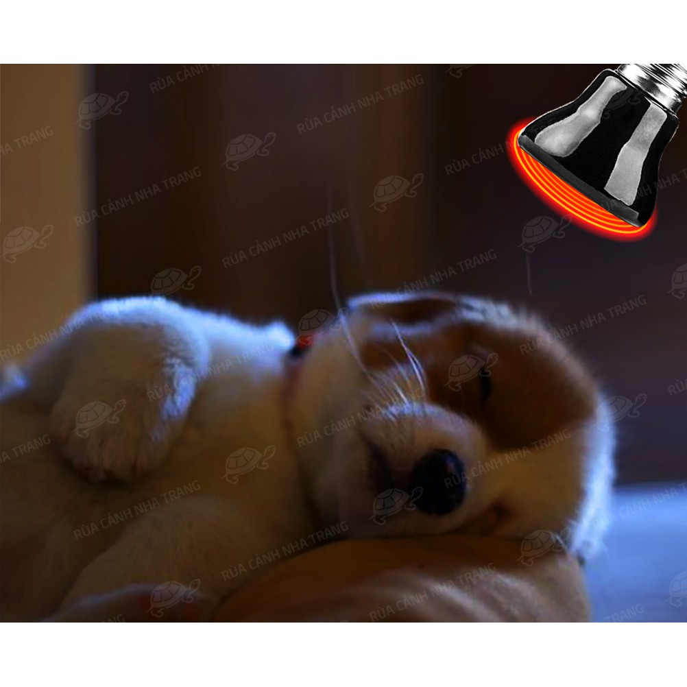 Đèn sưởi ban đêm cho thú cưng, chó, mèo, thỏ, chim v.v...