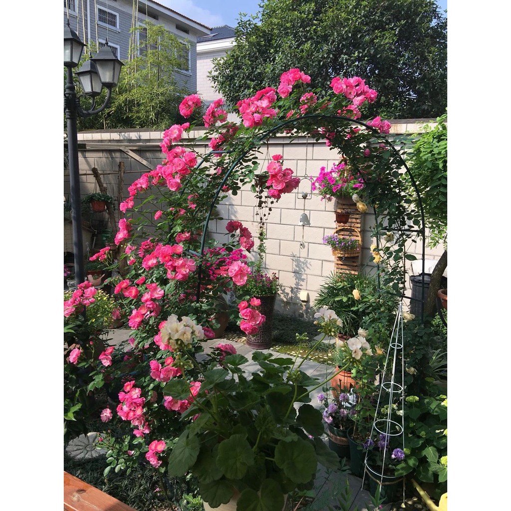 Khung vòm hoa hồng leo màu xanh cao 2,4m rộng 1,4m ngang 40cm làm từ thép ống phi 13mm