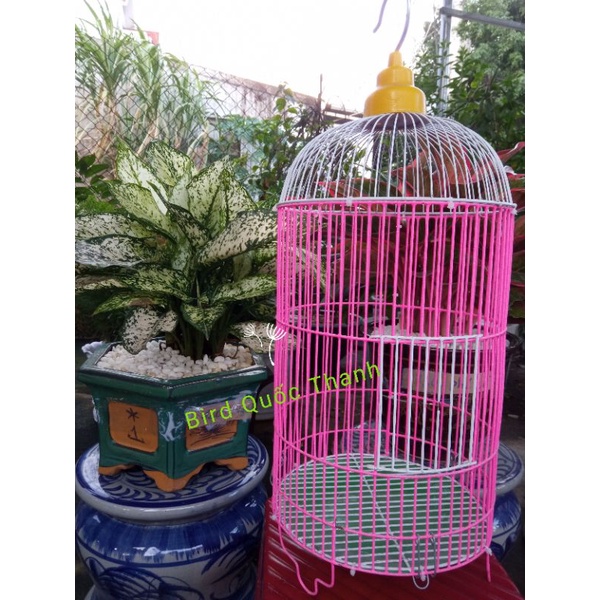 Lồng nhốt những loại chim nhỏ: vành khuyên, yến phụng, quế lâm...