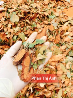 Lá Tắm Dao Đỏ Cho Mẹ Sau Sinh, Lá Tắm Sau Sinh, Lá Tắm Dân Tộc Mây Xinh Store