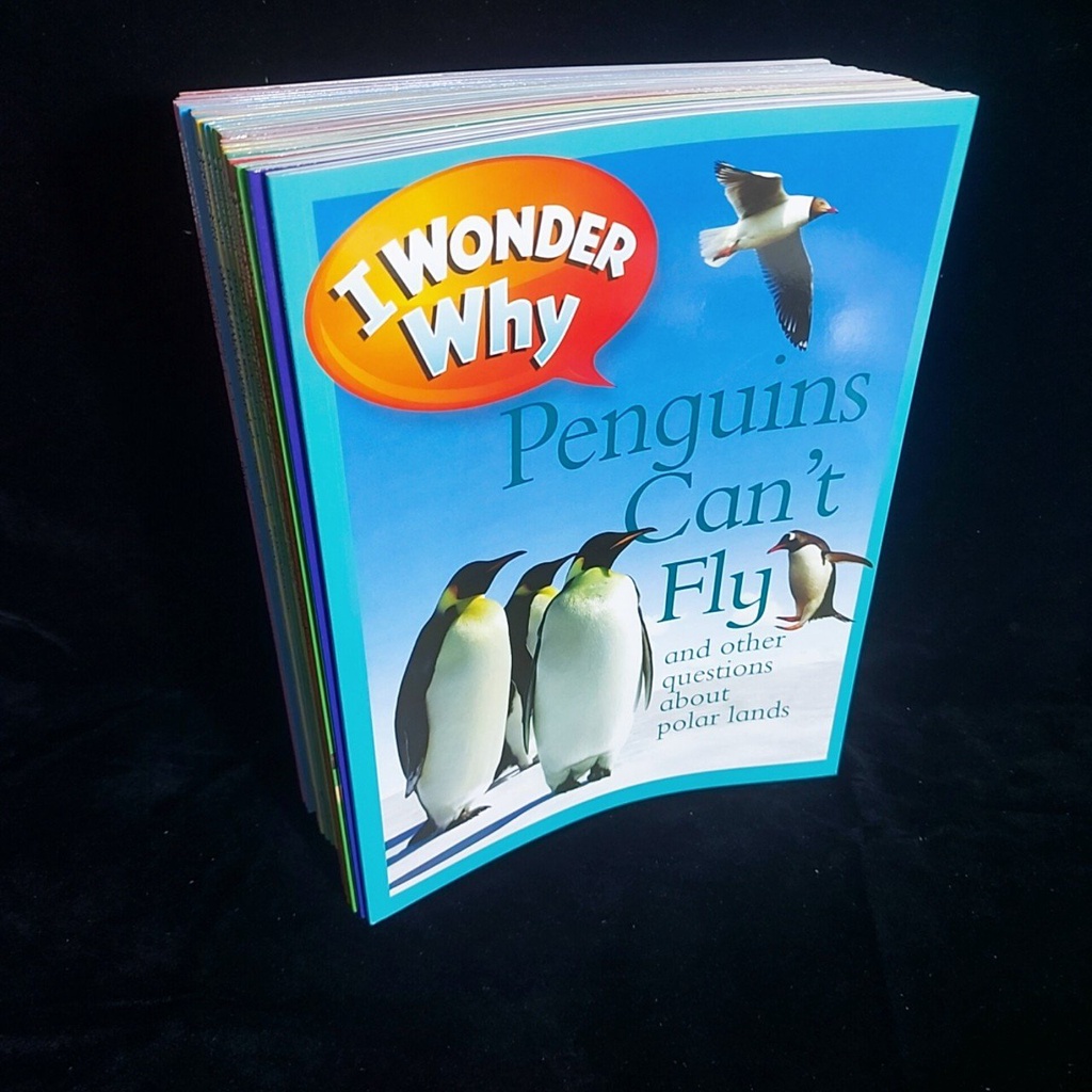 I wonder why   + mp3