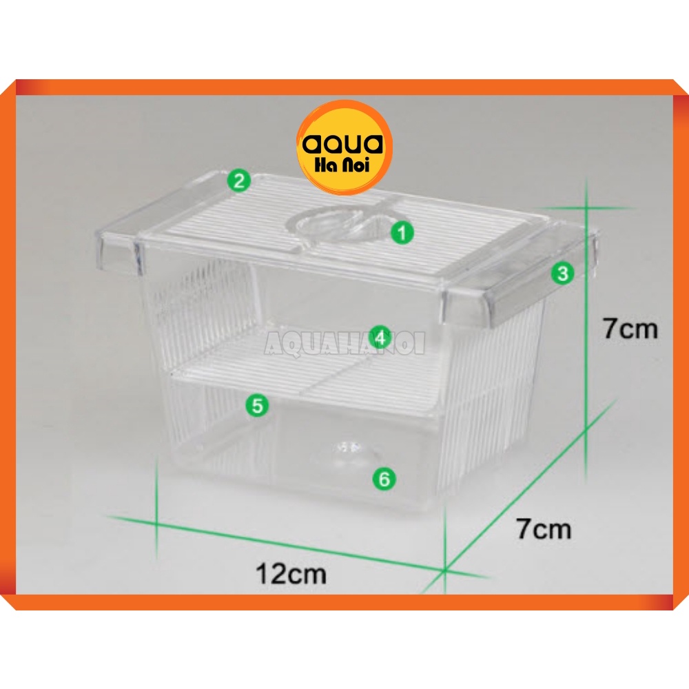 Lồng dưỡng cá tép đẻ mica - cỡ nhỏ 12*7*7 cm - lồng tách cá  tép sinh sản - dưỡng cá bệnh - có 2 ngăn cách ly