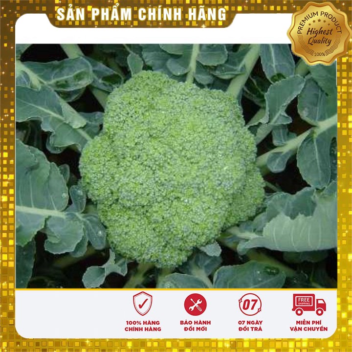 Hạt giống súp lơ xanh ( 0,5 gram )