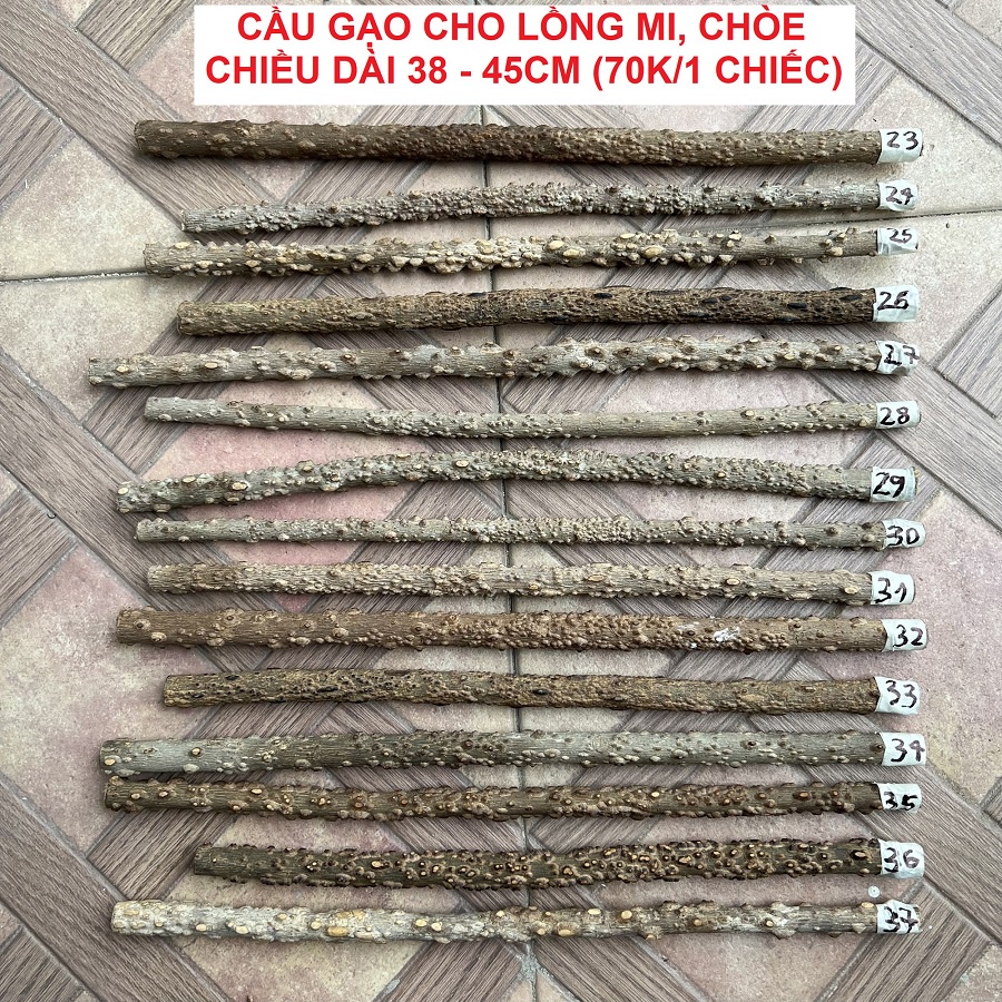 Cầu gạo cho lồng chim họa mi, chòe, chào mào, khướu - Loại tuyển chọn (Được chọn mẫu)