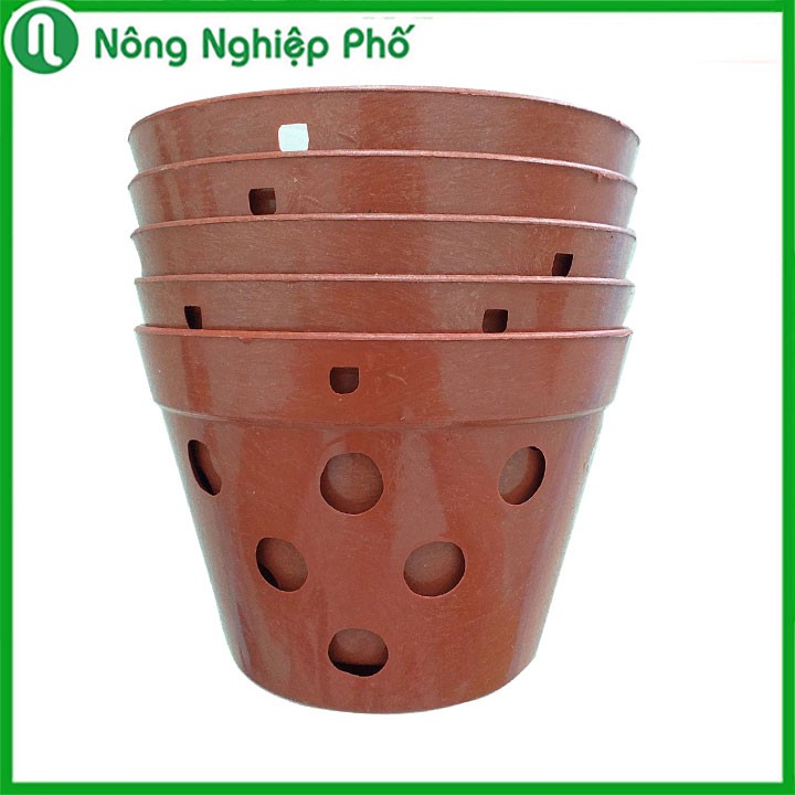 CHẬU NHỰA TRỒNG LAN GIẢ ĐẤT NUNG - 14.5x10cm