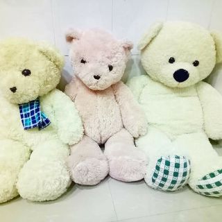 Gấu bông của di di
