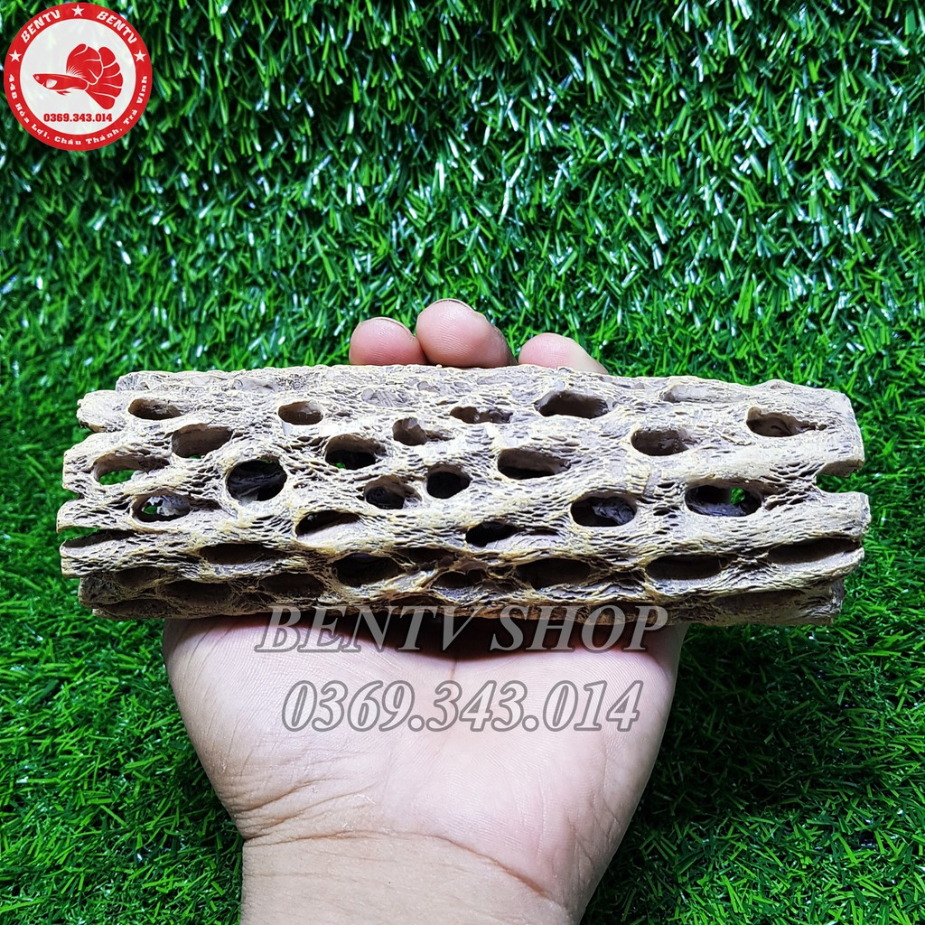 Mô Hình Nhựa Làm Hang Trú Ẩn Cho Tép