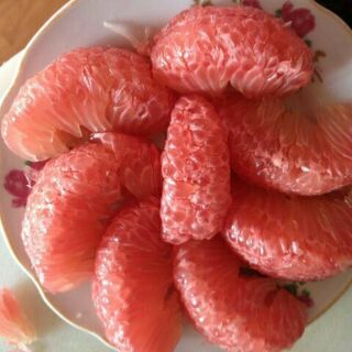 Giống Cây bưởi đỏ tân lạc