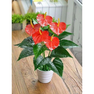 Cây hồng môn sang trọng, cây hoa giả trang trí hàng rào, tường hoa, khuôn viên khách sạn