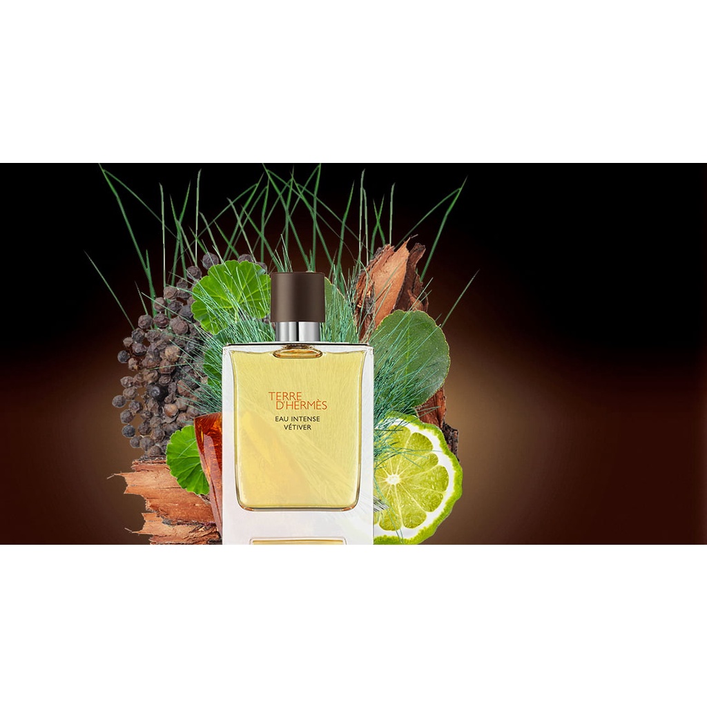 Nước Hoa Nam Hermes Terre D'Hermes Eau EDT 100ml Chính Hãng