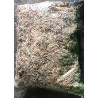 Giá thể dớn trắng trồng lan hoặc kiểng lá gói 500gr