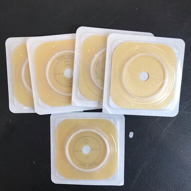 Đế Hậu môn nhân tạo 2 mảnh