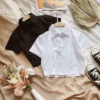 áo croptop nút cổ polo 10359