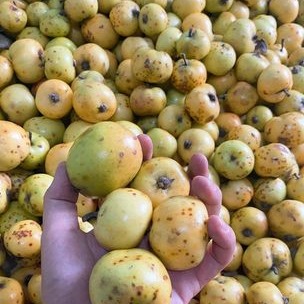 Chuyentaomeo