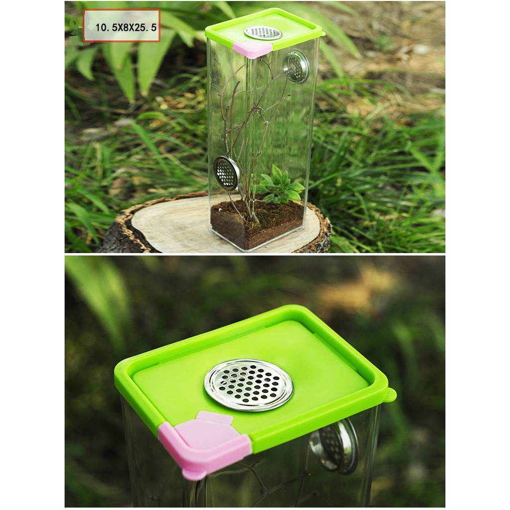 Tank nuôi nhện bọ cạp rết vật nuôi nhỏ