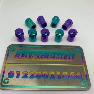 Van vòi GR5 M8 van vòi titanium thông dụng tất cả các loại xe ( valve cover )