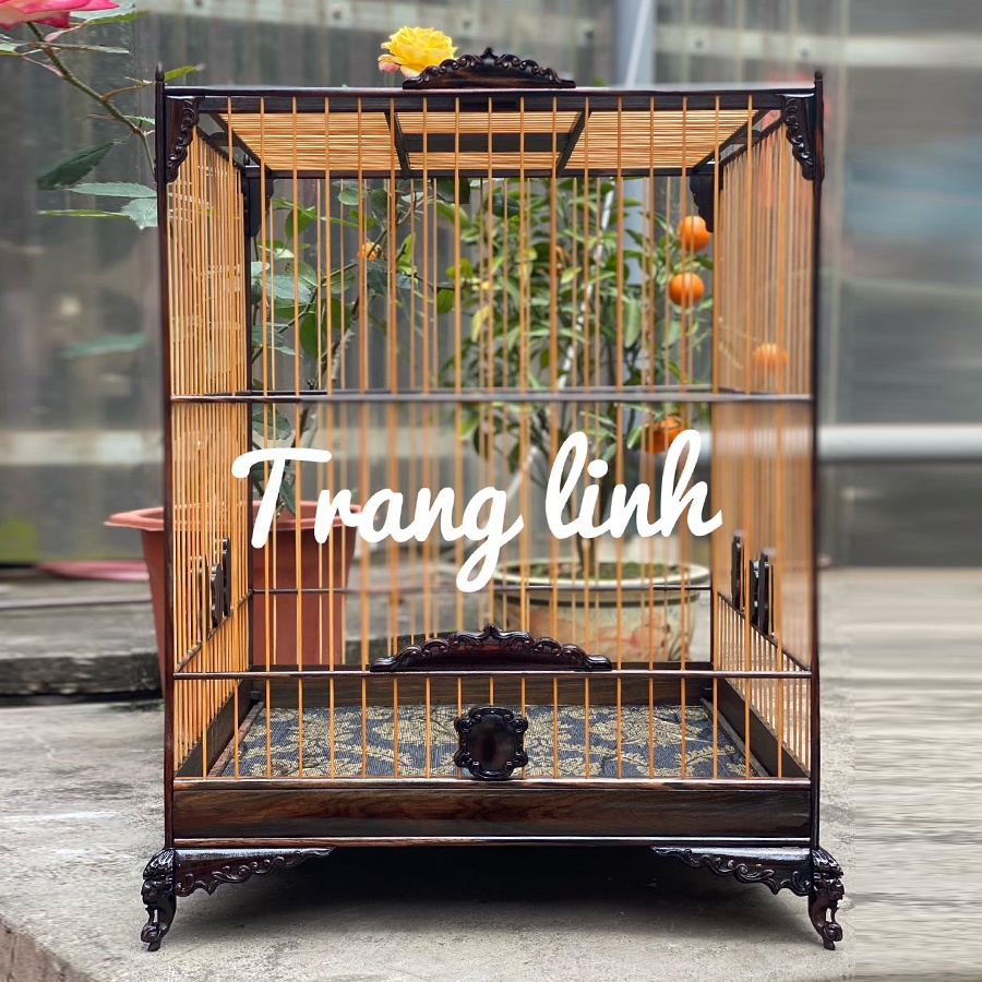 Lồng chim Jambul - TL02