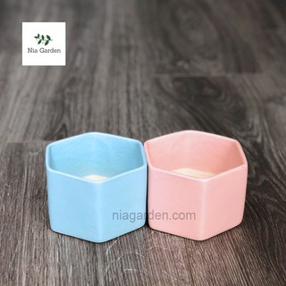 Chậu lục giác trung trồng cây, lá may mắn, sen đá