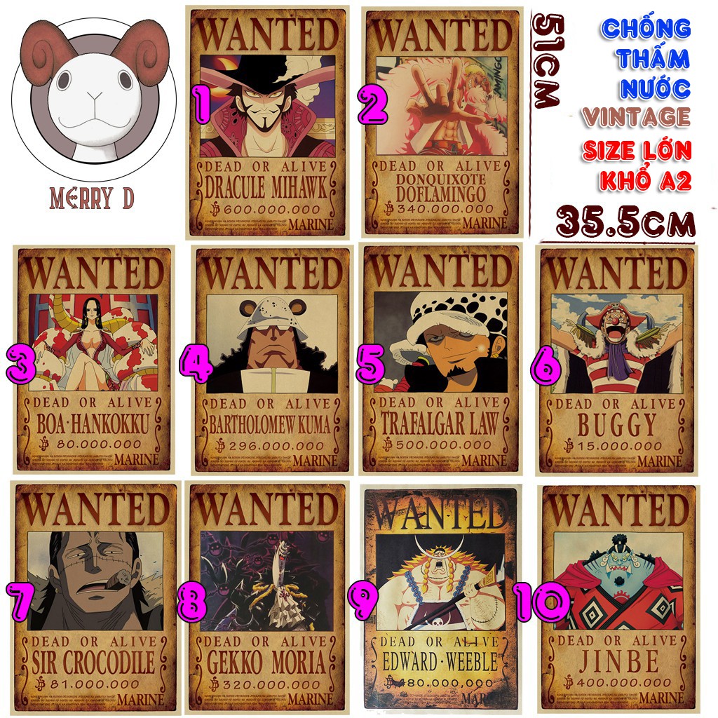 Bộ 10 Tấm Poster One Piece - Team Luffy, Thất Vũ Hải, Tứ Hoàng, Tổng Hợp