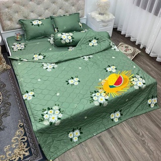 Sỉ Ga Drap trải giường 1m6 Phúc Nguyên mẫu totobed 718
