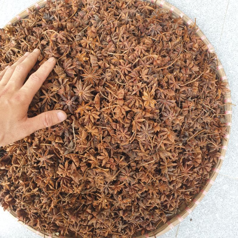 Hoa hồi khô, đại hồi 1kg