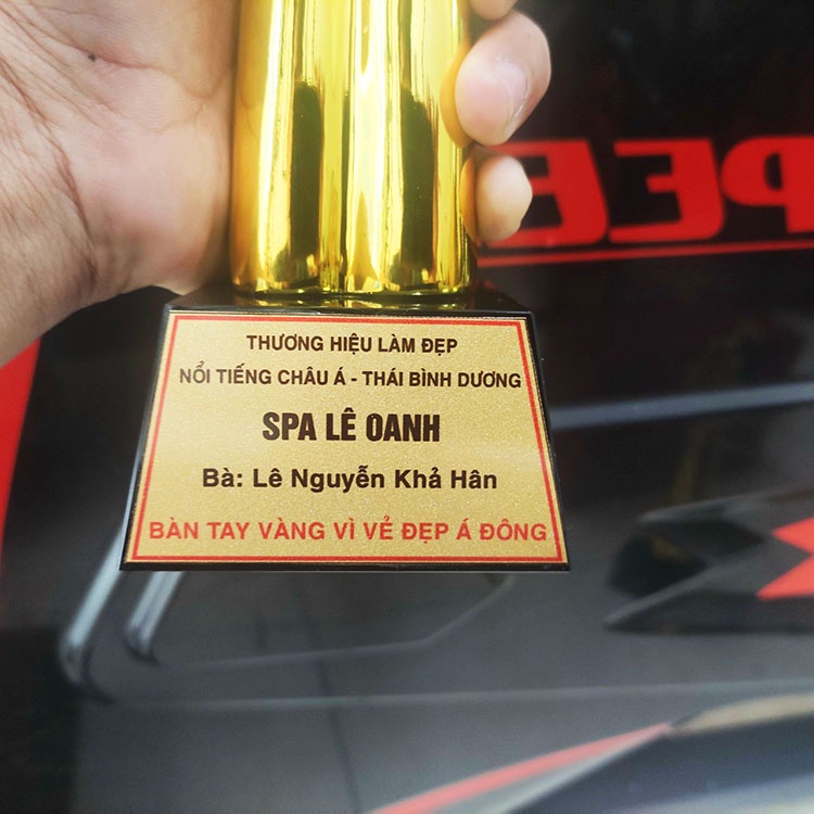 [Free in ấn logo] Cúp lưu niệm bàn tay ⚡Kỷ niệm chương - biểu trưng pha lê - cúp thể thao - cúp kim loại giá tốt