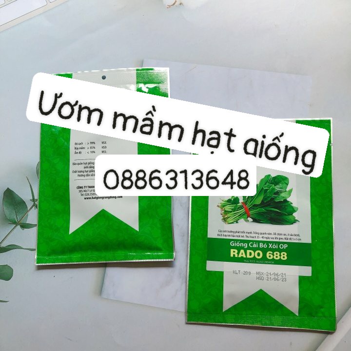 Hạt giống cải bó xôi OP Rado 688 gói 20gr