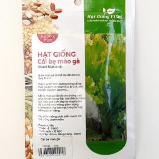 Hạt giống cải bẹ mào gà